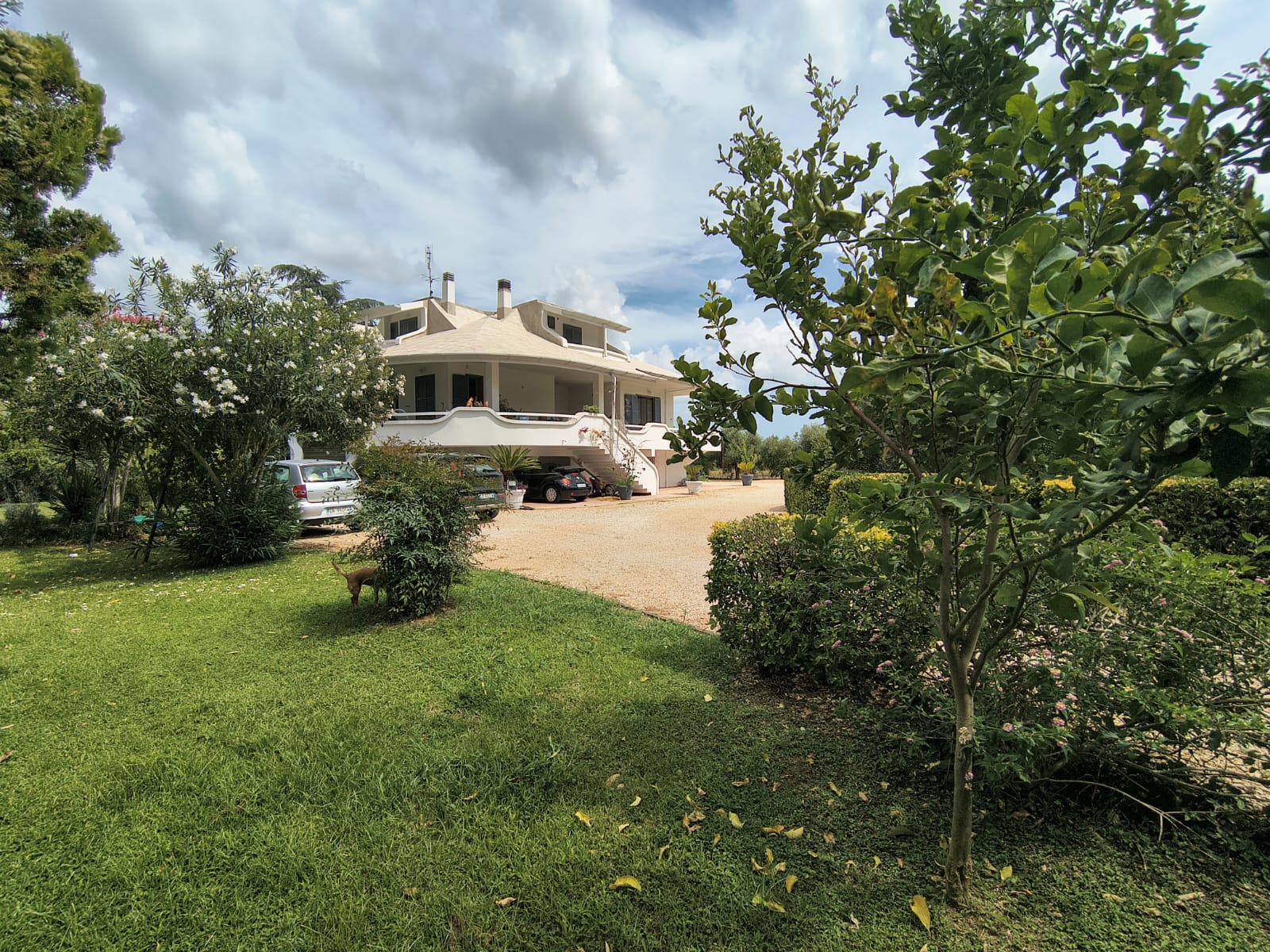 casa di riposo pontinia